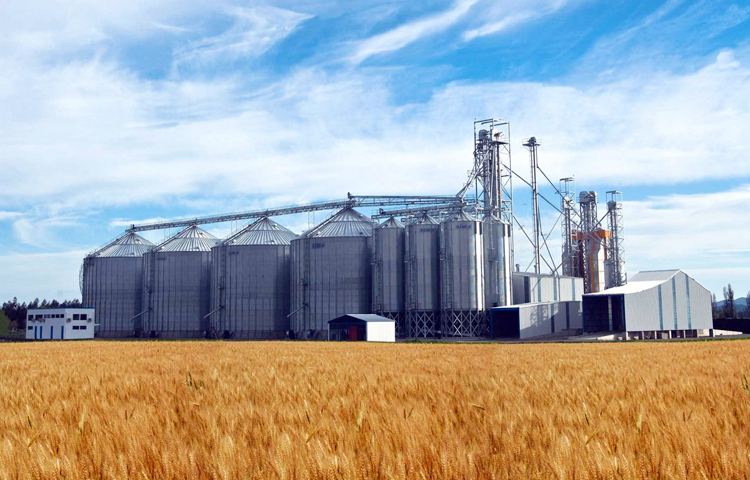 রুশ নৌবাহিনীর অবরোধ এবং জলসীমায় ইউক্রেনীয়দের প্রতিরক্ষামূলক মাইন স্থাপনের কারণে সামুদ্রিক বন্দরগুলো দিয়ে তাদের শস্য রপ্তানি কার্যত বন্ধ হয়ে গেছে। ছবি: সংগৃহীত