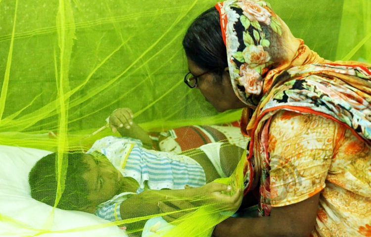 দেশে গত ২৪ ঘণ্টায় ডেঙ্গুতে আক্রান্ত হয়ে সাতজনের মৃত্যু হয়েছে। একই সময়ে ডেঙ্গু আক্রান্ত হয়ে হাসপাতালে ভর্তি হয়েছেন ৮৬৪ জন রোগী। এ নিয়ে দেশে হাপসাতালে ভর্তি ডেঙ্গুরোগীর সংখ্যা দাঁড়ালো তিন হাজার ৩০৪ জনে। এছাড়া চলতি বছরে ডেঙ্গুতে মৃত বেড়ে দাঁড়ালো ১০৬ জনে। ছবি: জাগো নিউজ