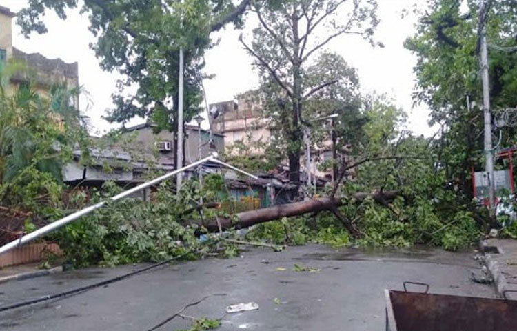 কাশীপুরে গাছের সঙ্গে তুবড়ে গিয়েছে সড়ক বাতি।
