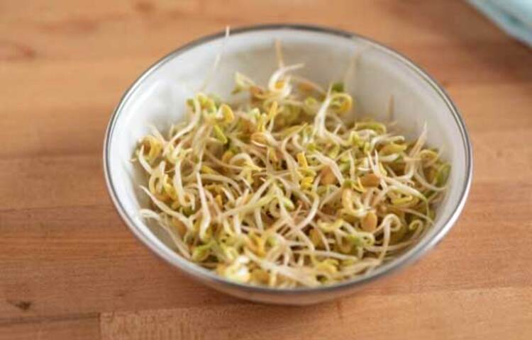 পরের দিন সকালে পানি থেকে ছেঁকে নিয়ে আবার পানিতে ধুয়ে নিতে হবে মেথিকে। এরপর একটি পরিষ্কার ও মসৃণ কাপড়ের মধ্যে মেথিকে বেঁধে ঝুলিয়ে রেখে দিতে হবে। এভাবে থাকার পর পরের দিন সকালে কাপড় খুলে মেথিকে বের করে আনতে হবে। এরপর আবার পানিতে ধুয়ে নিতে হবে। পরে একইভাবে কাপড়ের মধ্যে মেথিকে বেঁধে ঝুলিয়ে রেখে দিতে হবে।