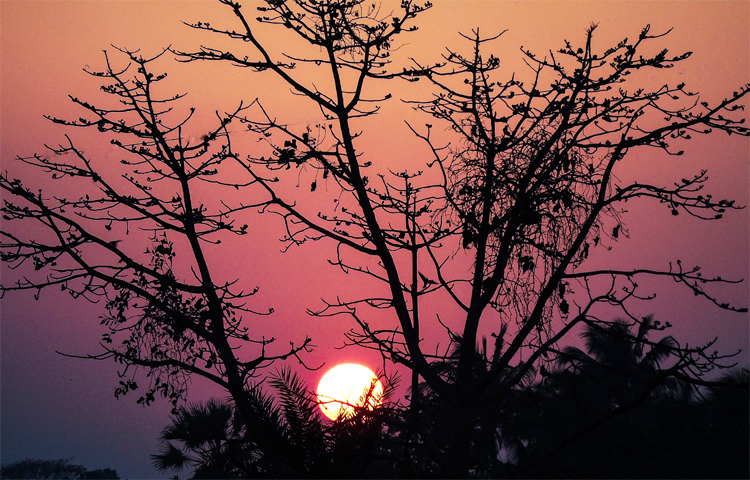 গ্রামবাংলায় সূর্যাস্তের সময় এমন অকৃত্রিম সৌন্দর্য চোখে পড়ে। ছবিটি সাতক্ষীরার আশাশুনি উপজেলার পুরোহিতপুর গ্রাম থেকে তোলা। ছবি: প্রত্যয় ঘোষ