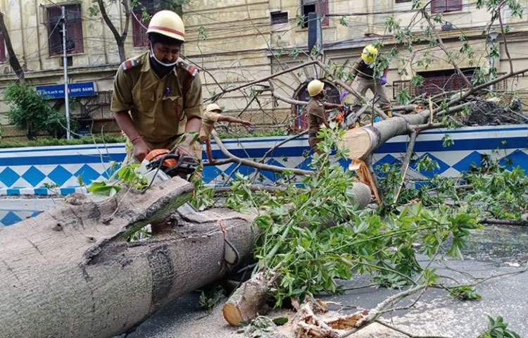 কলকাতার চাঁদনি চকে বৈদ্যুতিন যন্ত্র দিয়ে কাটা হচ্ছে ভেঙে পড়া গাছ।