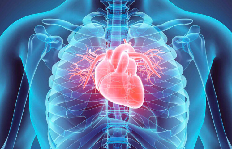 ধূমপান হার্টের অসুখের সম্ভাবনা অনেকটাই বাড়িয়ে দেয়। তাই ধূমপান বন্ধ করুন।