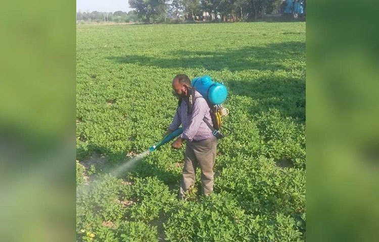 এর আগে চেন্নাই থেকে ৯০ কিলোমিটার দূরে উথিরামেরুরে তিন লাখ টাকা খরচ করে কিনেছিলেন জমি। সেখানে ধান ও বাদাম চাষ শুরু করেছিলেন। কিন্তু বেশ কয়েক বছর পরও তেমন লাভ হচ্ছিলো না। তাই ২০১১ সালে সেই চাষ পুরোপুরি বন্ধ করে দেন তিনি।