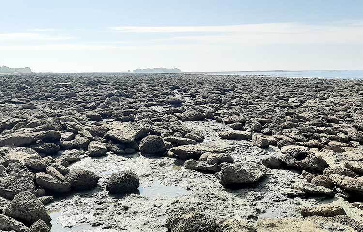 ভ্রমণে বের হতে চাইলে যে কেউ সেন্টমার্টিনে নির্ভয়ে ঘুরতে যেতে পারেন। ছবি: জাগো নিউজ