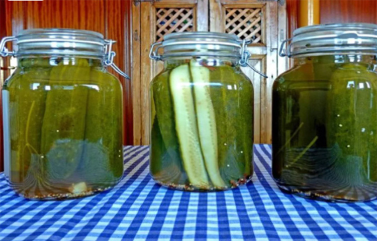 আচার তৈরি করে তা কাঁচের বয়ামে ভরে রাখতে হবে। বয়ামের মুখ একটা সাদা কাপড় বেঁধে মাঝে মধ্যে রোদে দিতে হবে। ছবি: সংগৃহীত