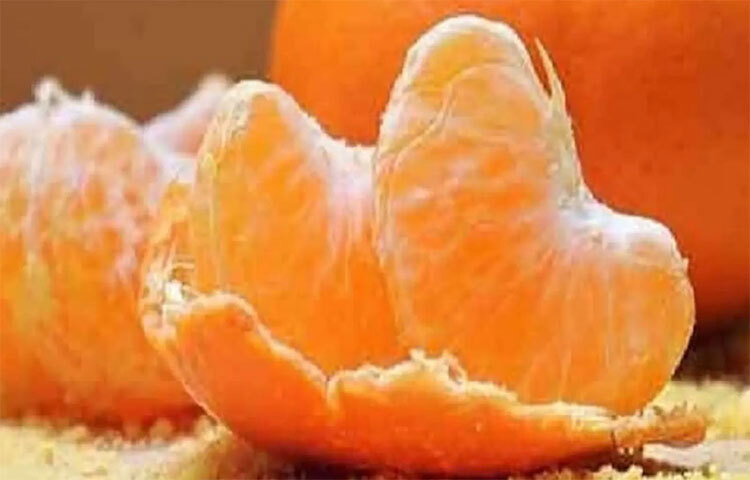 কমলালেবুর খোসা একটি ভালো টোটকা এর জন্য। কমলা লেবুর খোসা আঁচিলের উপর আলতো হাতে ঘঁষলে উপকার পেতে পারেন। ছবি: সংগৃহীত