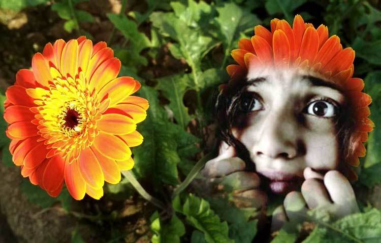 শুনতে অদ্ভুত লাগলেও পৃথিবীতে কিছু মানুষ ফুলের ভয়ে সারাক্ষণ আতঙ্কিত থাকেন। এই ধরনের মানুষ ফুল দেখলে বা ফুলের কাছাকাছি থাকলে এক ধরণের মানসিক চাপ অনুভব করেন। অনেকে আবার পুরো ফুলটাকে ভয় না পেয়ে ফুলের বিশেষ কোন অংশ যেমন পাপড়ি বা রেণু ভয় পান।