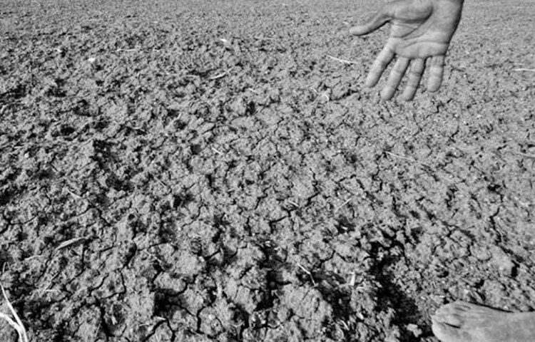 এই সময়েও এগিয়ে এসেছিলেন অক্ষয় কুমার। ওই সমস্ত পরিবারকে সাহায্য করার জন্য ৯০ লাখ টাকা দান করেছিলেন তিনি।