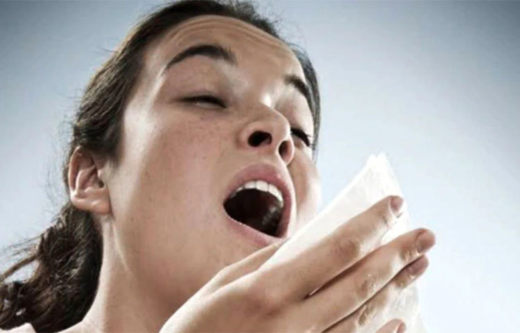 ডাস্ট অ্যালার্জির কারণে হাঁচি, কাশি ছাড়াও চোখ-নাক থেকে অনবরত জল পড়ার সমস্যা, শ্বাসকষ্ট বা ত্বকে র‌্যাশও দেখা দিতে পারে। চিকিৎসকের পরামর্শ ছাড়া মুঠো মুঠো অ্যান্টি অ্যালার্জি ওষুধ খাওয়া বিপজ্জনক হতে পারে! তাই ডাস্ট অ্যালার্জির সমস্যা থেকে মুক্তি পেতে অ্যান্টি অ্যালার্জি ওষুধের বিকল্প হিসাবে কয়েকটি ঘরোয়া টোটকা কাজে লাগিয়ে দেখতে পারেন।