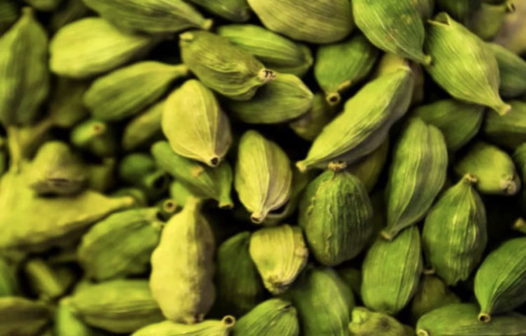 অ্যাসিডিটির সমস্যা থেকে মুক্তির জন্য এলাচের কোনো বিকল্প নেই। পেট ফাঁপা, বমি ভাব অনেকটাই দূর হয় মুখে একটা এলাচ রাখলে।