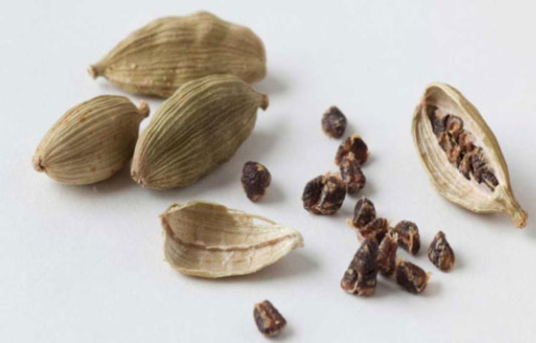 এলাচে আছে ডি ইউরেটিক উপাদান। এই উপাদান দেহের টক্সিন দূর করে সহজেই।