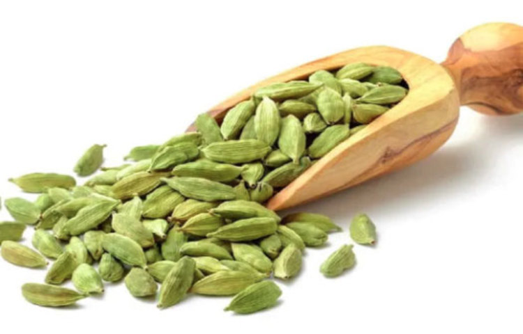 মুখের দুর্গন্ধ, মাড়ির ইনফেকশান, দাঁতের একাধিক সমস্যা দূর করতে এলাচের কোনো জুড়ি নেই।