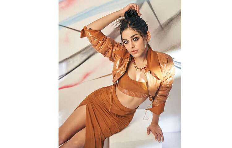 খয়েরি কো-অর্ড ড্রেসে আলায়া মোহময়ী। ছবি: সংগৃহীত