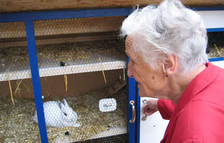 পরিবারের প্রিয়জনের কারো অ্যালঝাইমার্স ধরা পড়লে পরিজনেরা তাকে বাড়িতে রেখেই চিকিৎসা ও সেব করার চেষ্টা করেন। বিশেষত প্রবীণ কেউ এতে আক্রান্ত হলে পরিচর্যার প্রয়োজন আরও বেশি। ছবি: সংগৃহীত