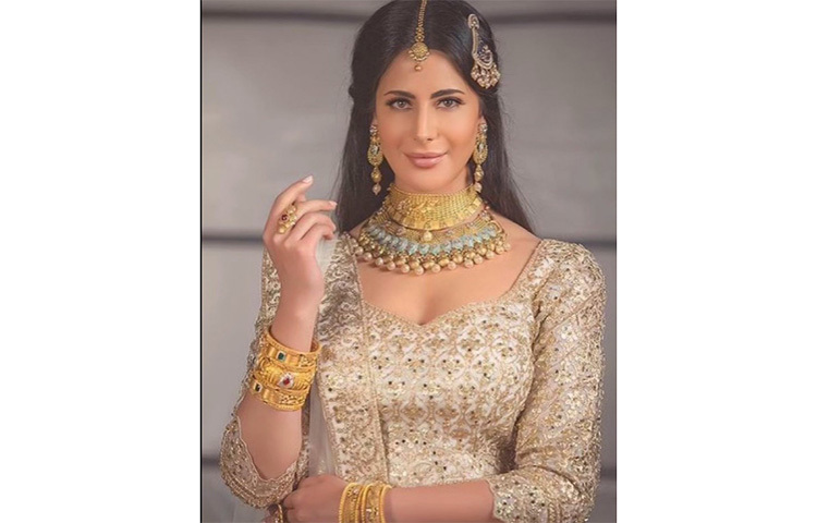 সবাই মজা করে বলছেন, সালমান খান কি জানেন এই সুন্দরীর কথা? ছবি: সংগৃহীত