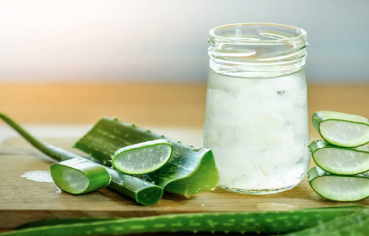 প্যানক্রিয়াস সংক্রান্ত নানা রোগের চিকিৎসাতেও এই প্রাকৃতিক উপাদানটি বিশেষ ভূমিকা পালন করে থাকে।