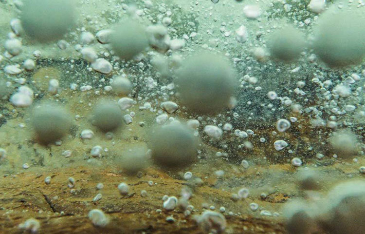 বিরল হলেও ফুটন্ত নদী আরও আছে পৃথিবীতে। কিন্তু সেগুলোর কাছে হয় আগ্নেয়গিরি বা চৌম্বকীয় ক্ষেত্র আছে। আমাজনের শানায় টিম্পিসখা নদী থেকে নিকটবর্তী সক্রিয় আগ্নেয়গিরির দূরত্ব ৪০০ কিমি। তা ছাড়া পেরুর আমাজনে কোনো চৌম্বকীয় ক্ষেত্রও নেই।