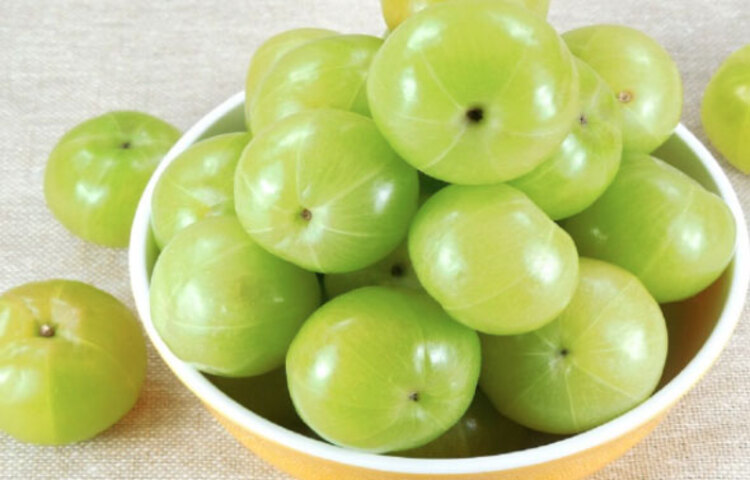 আমাদের সারা বছর সুস্থ থাকার জন্য নিয়মিত আমলকি খাওয়া জরুরি। শুধু ফলই নয়, আমলকির পাতাও ওষুধ হিসেবে ব্যবহার করা হয়। ভিটামিন সি-তে ভরপুর আমলকি। পুষ্টি বিজ্ঞানীদের মতে, আমলকিতে পেয়ারা ও কাগজি লেবুর চেয়ে যথাক্রমে ৩ গুণ ও ১০ গুণ বেশি ভিটামিন সি রয়েছে। কমলালেবুর চেয়ে ২০ গুণ, আমের চেয়ে ২৪ গুণ এবং কলার চেয়ে ৬০ গুণ বেশি ভিটামিন সি রয়েছে।