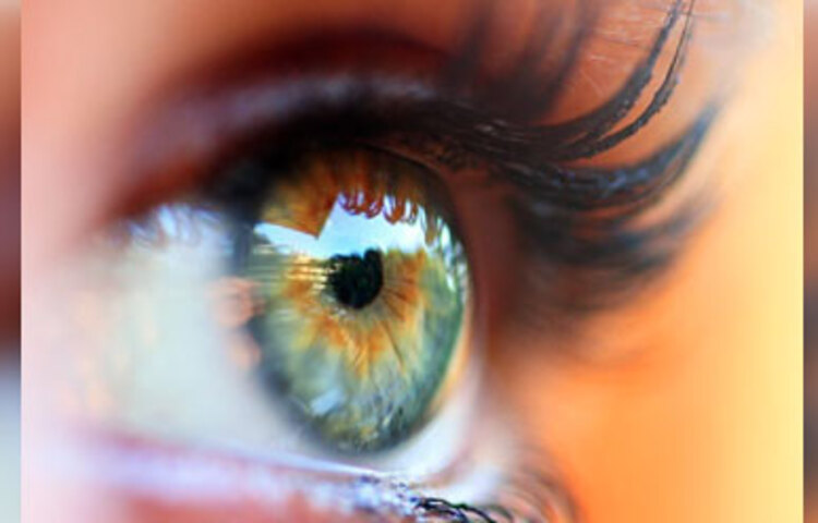 আমলকিতে রয়েছে ফাইটো-ক্যামিকেল যা চোখের জন্য উপকারি। আমলকির রস দৃষ্টিশক্তি বাড়ায়। এছাড়াও চোখের বিভিন্ন সমস্যা যেমন চোখের প্রদাহ, চোখ চুলকানো বা জল পড়ার সমস্যা থেকে রেহাই মেলে।