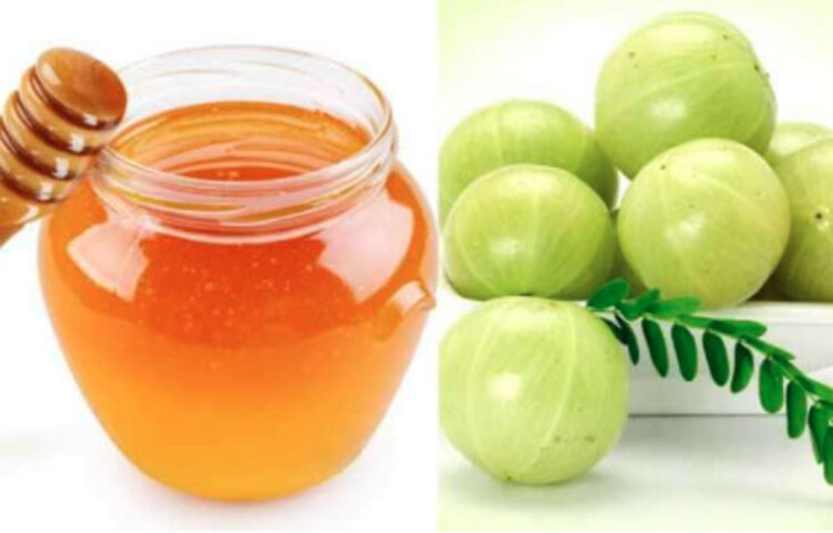 আমলকির টক ও তেতো মুখে রুচি ও স্বাদ বাড়ায়। রুচি বৃদ্ধি ও খিদে বাড়ানোর জন্য আমলকি গুঁড়োর সঙ্গে সামান্য মধু ও মাখন মিশিয়ে খান।