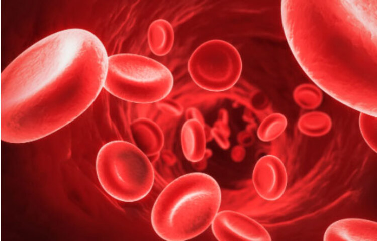 আমলকির রস রক্ত পরিষ্কার করে।