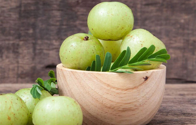 চুল পড়া ঠেকাতে আমলকির রস বেশ উপকারী। আমলকির রসে রয়েছে অ্যামিনো অ্যাসিড এবং প্রোটিন যা চুলের পুষ্টি যোগায়। চুল পড়া রোধ করে। ছবি: সংগৃহীত