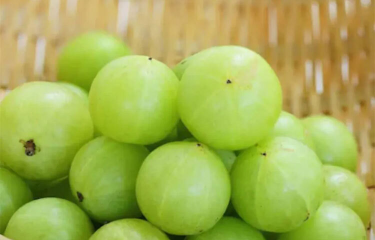 ভিটামিন সি ছাড়াও আমলকির রসে রয়েছে আয়রন, ক্যালসিয়াম, ফসফরাস। চিকিৎসকরা জানান, এটি পরিপূর্ণ পুষ্টিগুণ সমৃদ্ধ পানীয়। ছবি: সংগৃহীত