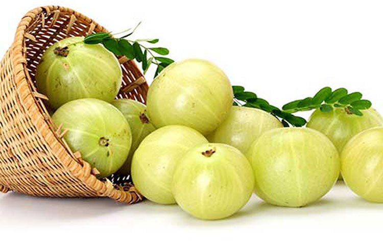 কোলেস্টেরল মানেই ক্ষতিকারক নয়। বরং দেহের জন্য ভালো কোলেস্টেরল উপকারী। আবার খারাপ কোলেস্টেরল শরীরের ক্ষতি করে। এই খারাপ কোলেস্টেরল কমাতে বহু খাবারই উল্লেখযোগ্য ভূমিকা নেয়। সেগুলোর মধ্যে অন্যতম আমলা বা আমলকি। ছবি: সংগৃহীত