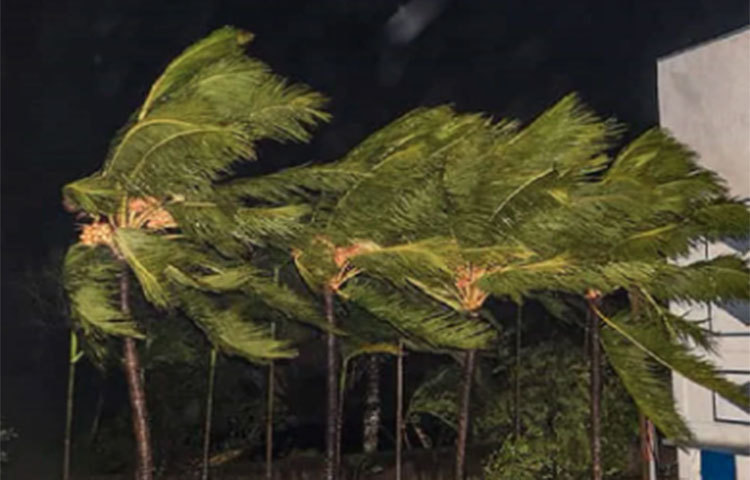 এই ১৩টি সদস্য দেশের মধ্যে থেকে ঘূর্ণিঝড়ের আগাম পূর্বাভাস জারি করার জন্য ৬টি আঞ্চলিক আবহবিজ্ঞান কেন্দ্রকে বেছে নেয়া হয়েছে। তার মধ্য ভারতীয় আবহবিজ্ঞান বিভাগও রয়েছে। কারণ গত কয়েক বছরে ভারতীয় আবহবিজ্ঞান বিভাগ বার বারই ঘূর্ণিঝড়ের পূর্বাভাস এবং তার গতিবিধির সঠিক পূর্বাভাস দিয়ে এসেছে।