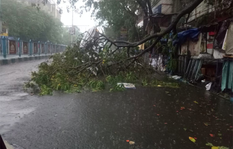 বেনজির ঝড়ের দাপটে তছনছ গোটা কলকাতা শহর।