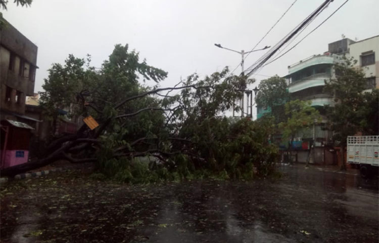 ঝরে মৃত্যুরবরণ করেছেনও বেশ কয়েকজন।
