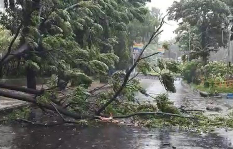 ১৫০কি.মি. বেগে ল্যান্ডফলের পর ১৩০ কিমি বেগে কলকাতার ওপর দিয়ে বয়ে গেছে আমফান।