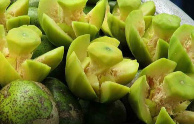 দাঁতের মাড়ি ফুলে যাওয়া, দাঁতের গোড়া থেকে পুজ ও রক্ত পড়া, প্রচণ্ড ব্যথা হওয়া, খাবার খেতে অসুবিধা হওয়া, অকালে দাঁত ঝরে যাওয়া ইত্যাদি প্রতিরোধে আমড়ার ভূমিকা অনন্য।