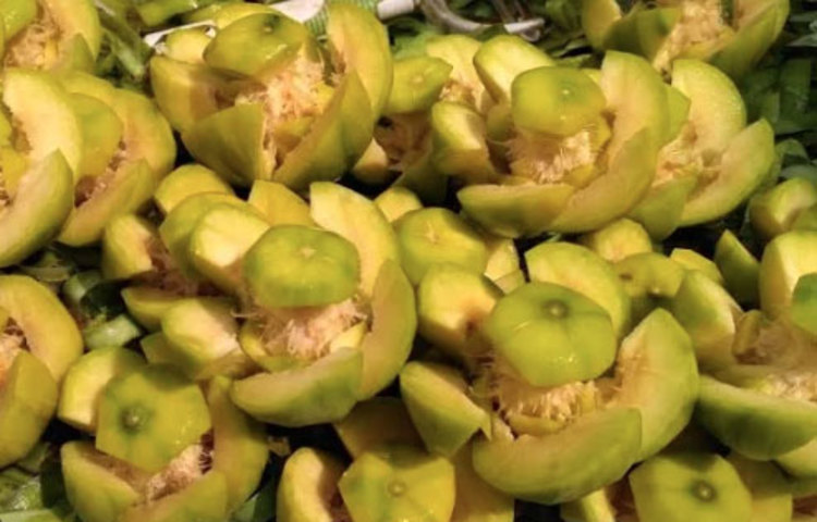 বিভিন্ন রকমের ভাইরাসজনিত সংক্রমণ, সর্দি, কাশি ও ইনফ্লুয়েঞ্জায় আমড়া অত্যন্ত উপকারি।