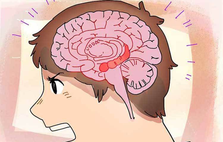 সব থেকে ভালো উপায় হল নিয়মিত মেডিটেশন। এতে শরীরের অন্য উপকারের সঙ্গে সঙ্গে রাগ নিয়ন্ত্রণও হয়।