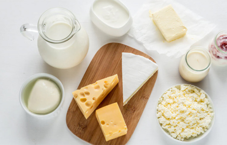 দুগ্ধ জাতীয় খাবার খাওয়া একেবারেই ঠিক নয়। এই ধরনের খাবারে প্রচুর পরিমাণে ক্যালসিয়াম থাকে যা অ্যান্টিবায়োটিক শোষণে বাধা দেয়। যদি একান্তই দুগ্ধজাতীয় খাবার খেতে চান, তা হলে দই খেতে পারেন। এতে প্রোবায়োটিক আছে, ফলে অ্যান্টিবায়োটিক-এর উপর কোনো প্রভাব ফেলে না। ছবি: সংগৃহীত