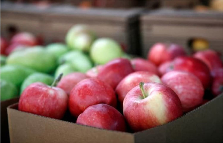 ইউরোপীয় দেশগুলোর থেকে ২৩০০০ জনকে বেছে নিয়ে এই পরীক্ষা চালান। পরীক্ষার ফল প্রকাশিত হয়েছে ব্রিটিশ মেডিক্যাল জার্নাল স্টাডিতে।