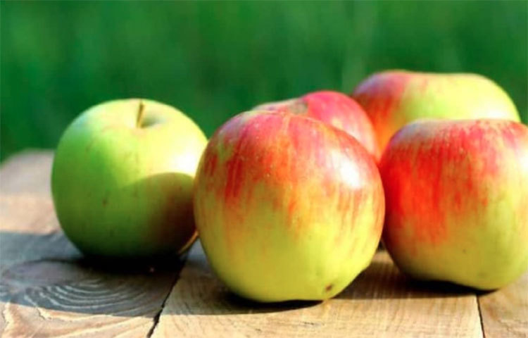 ক্যামব্রিজ বিশ্ববিদ্যালয়ের গবেষক নীতা ফোরোহি দ্যা সান সংবাদমাধ্যমকে বলেন, ‘দিনে একটা ফল, যেমন আপেল গণস্বাস্থ্য বদলে দিতে পারে। যেসব ফলে ভিটামিন, মিনারেল ও ফাইবারের সুসমাহার রয়েছে সেগুলি উৎপাদন বাড়লে ডায়াবিটিস এবং ক্যানসারের সঙ্গে লড়াই আরও সহজ হবে।