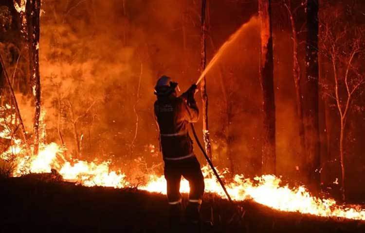 এই দাবানলের গ্রাসে অসহায়, বিপন্ন অস্ট্রেলিয়ার জনজীবনও।