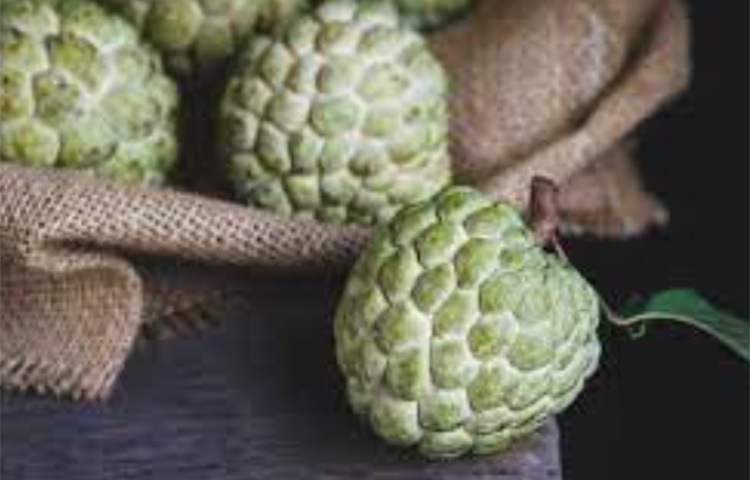 আতা ফলে যেসব পুষ্টিগুণ রয়েছে তা চোখ, মস্তিষ্ক ও দেহের জন্য ভীষণ উপকারী। ছবি: সংগৃহীত