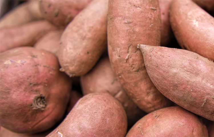 মিষ্টি আলু বা রাঙা আলু সর্দি-কাশি কমানোর পাশাপাশি শিশুর রোগ প্রতিরোধ ক্ষমতা উন্নত করে। পাশাপাশি শ্বেত রক্তকণিকা তৈরিতে শরীরকে সাহায্য করে। ছবি: সংগৃহীত