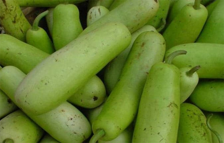 লাউ, শসা, উচ্ছে, করলা ও কুমড়া শরীর ঠান্ডা করে। বাচ্চার ঠন্ডা লাগলে এই সবজিগুলো খাওয়াবেন না। ছবি: সংগৃহীত