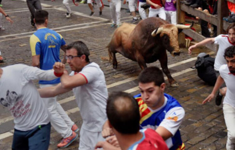 ষাঁড়ের সাথে দৌড়: প্রতি বছর স্পেনের পাম্পলোনা শহরে সান ফারমেন উৎসবে ষাঁড়ের সাথে দৌড় প্রতিযোগিতা হয়। অনুষ্ঠানটি সবচেয়ে বেশি প্রচারিত হয়। এটি মোটামুটি বিপজ্জনক। কারণ সেখানে ষাঁড়ের পায়ের চাপে বা ধাক্কায় অনেকেই আহত হন। বেয়ার গ্রিলস এ কাজটিও কখনো করেননি।