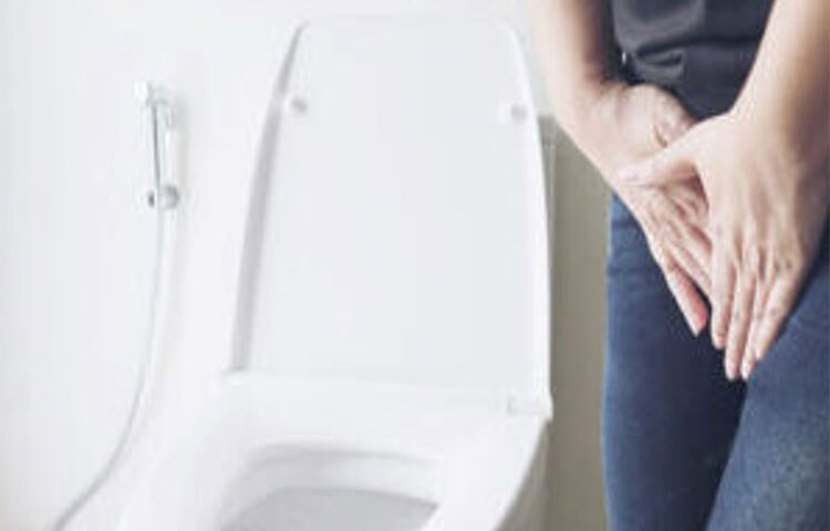 নারীদের ডিম্বাশয়, জরায়ু, মূত্রাশয়ের কার্যপদ্ধতি একে অপরের উপর নির্ভরশীল। ফলে যেকোনো একটি অংশে সমস্যা হলে অপর অংশগুলোতেও সমস্যা দেখা দেয়। জরায়ুতে ফাইব্রয়েড হলে, মূত্রাশয় ভারী লাগে। ঘন ঘন প্রস্রাব পাচ্ছে মনে হয়। ছবি: সংগৃহীত