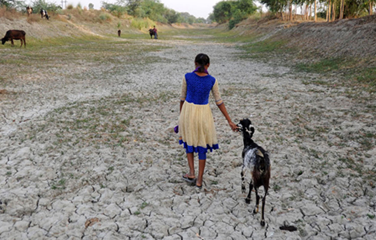 কিন্তু পানির সঙ্কট থাকায় চাষাবাদ ছিল ব্যয়বহুল। এক সময়ে ১০ লাখ টাকা দেনা করে ফেলেছিলেন তার বাবা। কিন্তু অসুস্থ হয়ে পড়ায় সেই দেনা শোধ করতে পারেননি তিনি। ছবি: সংগৃহীত