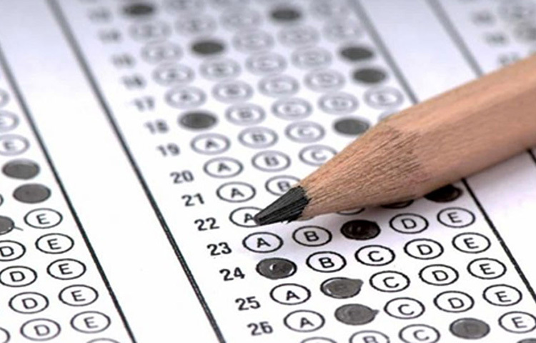 প্রথমে তিনি আপ্রাণ চেষ্টা করেছিলেন উচ্চপদস্থ সরকারি অফিসার হওয়ার। কিন্তু সাফল্য আসেনি। এরপর তাদের ১৬ একর জমিতে ফলের চাষ শুরু করেন। ছবি: সংগৃহীত