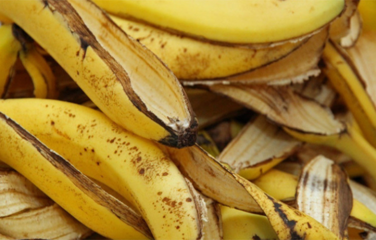 কলার খোসার ভেতরের অংশ দাঁতে ঘষতে থাকুন ২ মিনিট ধরে। ৫ মিনিট অপেক্ষা করে এরপর নিয়মিত টুথপেস্ট দিয়ে দাঁত মেজে ফেলুন। মাত্র ৭ দিনেই দাঁত হয়ে উঠবে ঝকঝকে সাদা। ছবি: সংগৃহীত