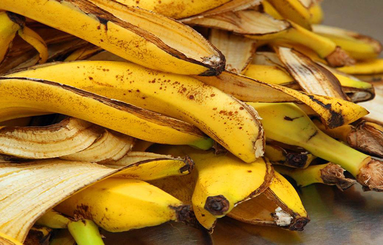 ময়লা হিসেবে কলার খোসা ফেলে দেয়ার চেয়ে তা রান্না করে খাওয়া যেতে পারে। এতে অবসাদ দূর হয়। কলার খোসায় মুড-নিয়ন্ত্রণ রাসায়নিক সেরোটোনিন থাকে প্রচুর পরিমাণে। সেই সেরোটোনিন শরীরের অবসাদ দূর করে। ছবি: সংগৃহীত