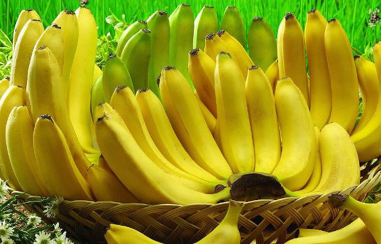 কলা: প্রায় সব ডাক্তারাই শরীরের ওজন বাড়াতে কলা খাওয়ার জন্য পরামর্শ দেন। কলায় রয়েছে ক্যালোরি, আঁশ, অধিক পরিমাণ পটাশিয়াম এবং প্রয়োজনীয় ভিটামিন। এ ছাড়া রয়েছে প্রাকৃতিক চিনি। তাই ওজন বাড়াতে চাইলে নিয়মিত কলা খাওয়া উচিত।